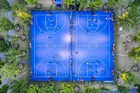 王博强势包夹战术奏效 杨鸣难以反制辽篮